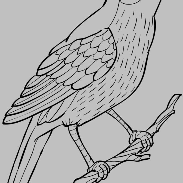 Nightingale   Clipart 2 Thumbnail