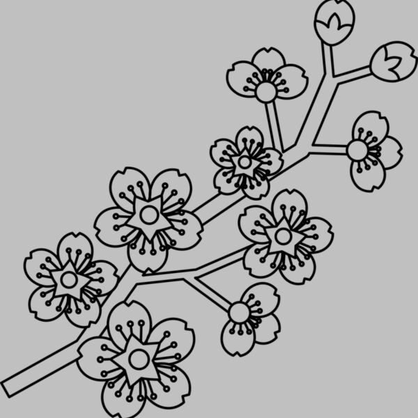 Cherry Blossom Branch Thumbnail