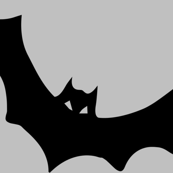 Bat Thumbnail