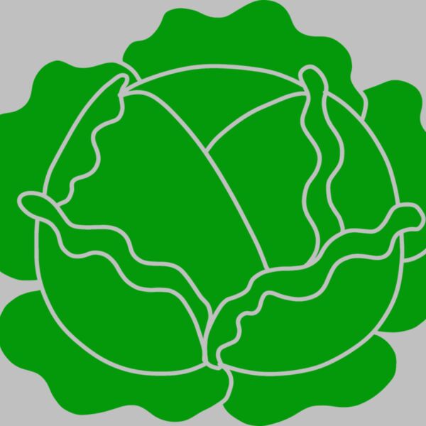 Cabbage Thumbnail