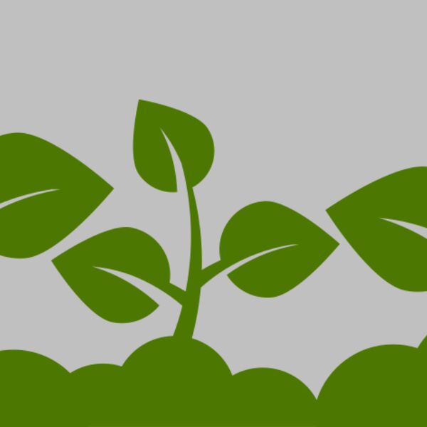 Plant Leaves Thumbnail