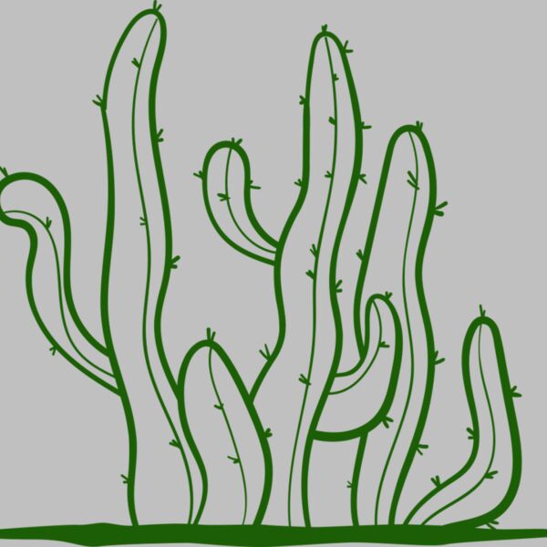 Cactus 2 Thumbnail