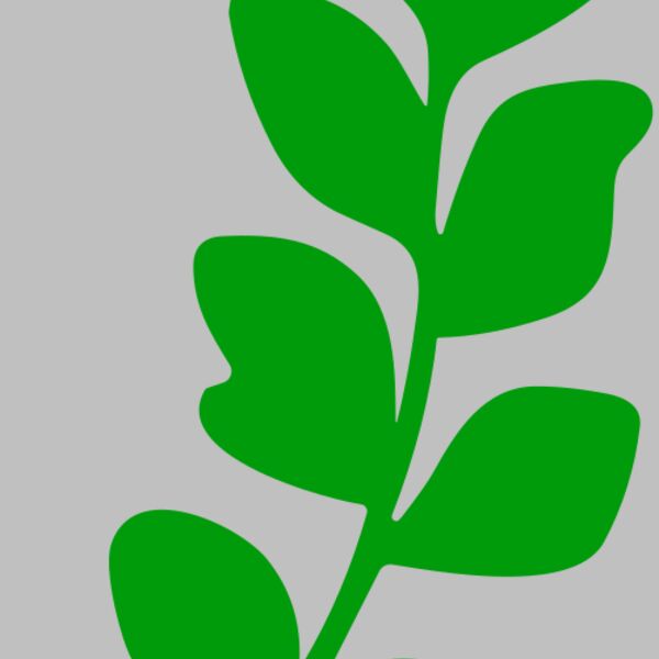 Leaves Thumbnail