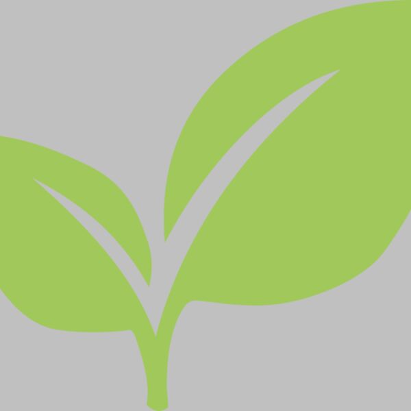Leaves 6 Thumbnail