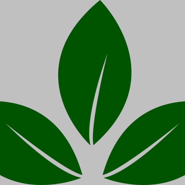 Leaves 5 Thumbnail
