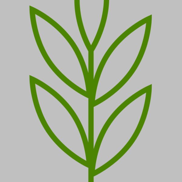 Leaves 4 Thumbnail