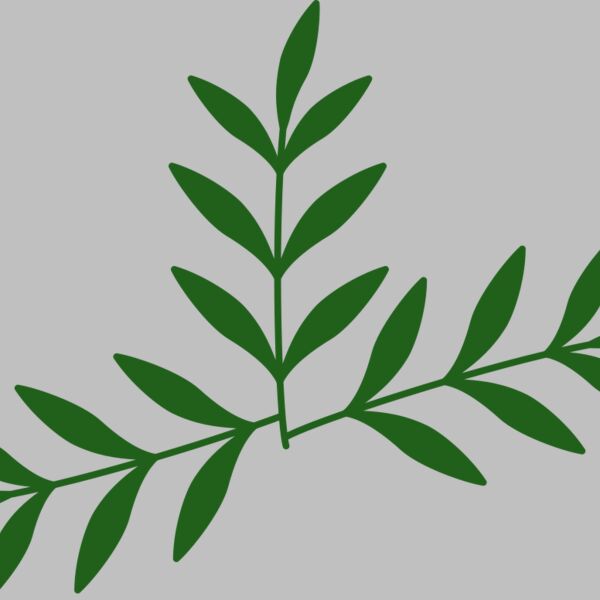 Leaves 2 Thumbnail