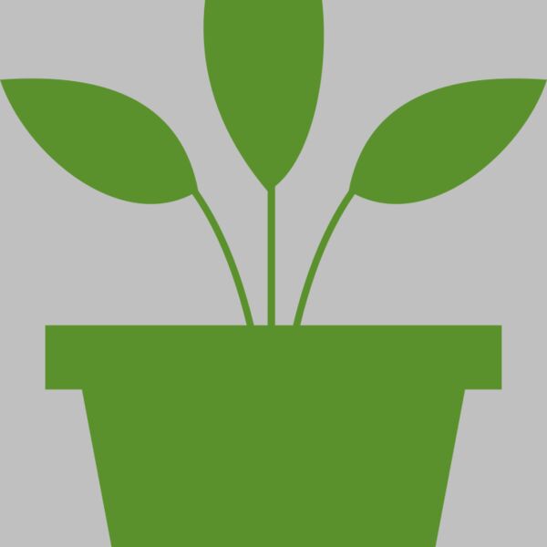 Plant 2 Thumbnail
