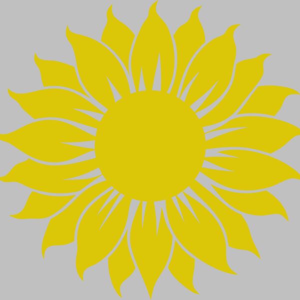Sunflower Thumbnail