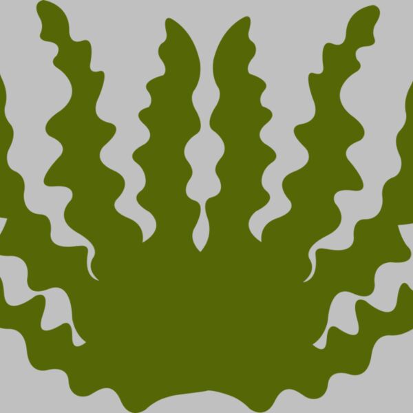 Sea Plant 2 Thumbnail