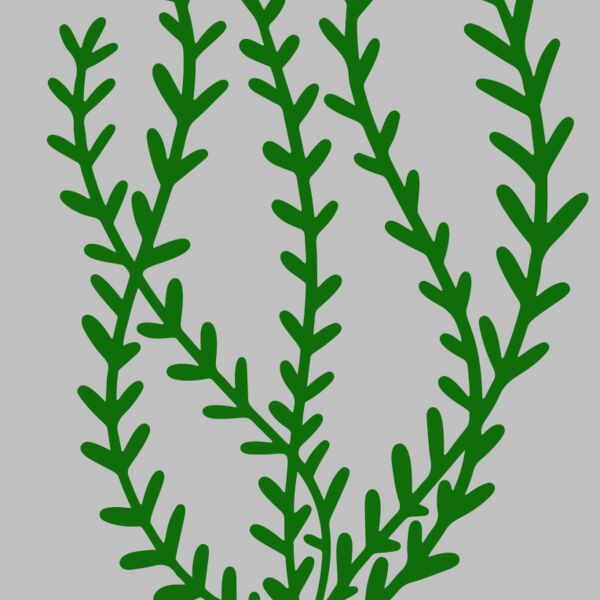 Sea Plants 3 Thumbnail