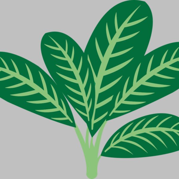 Plants 7 Thumbnail
