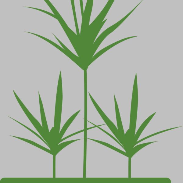 Plants 5 Thumbnail