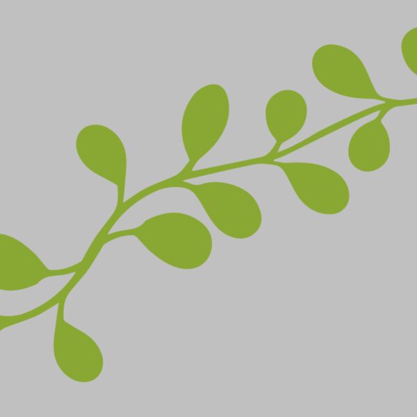 Leaves 13 Thumbnail