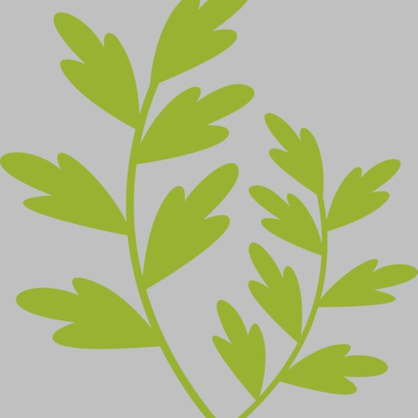 Leaves 11 Thumbnail