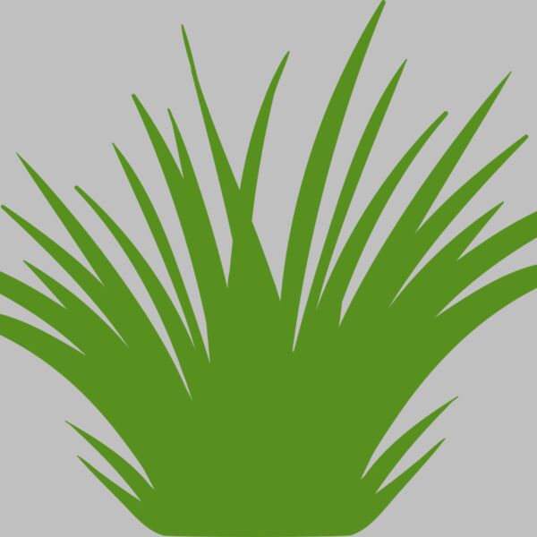 Grass 2 Thumbnail