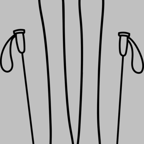 Ski Board and Poles 2 Thumbnail