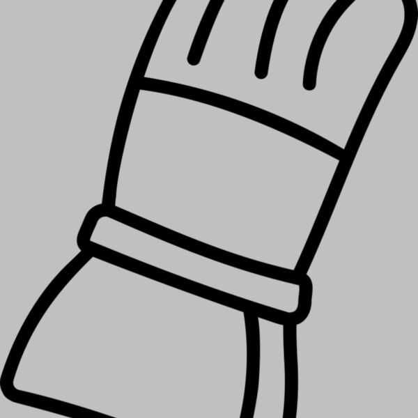 Ski Gloves 4 Thumbnail