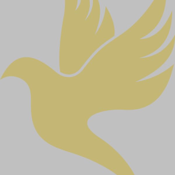 Dove 2 Thumbnail