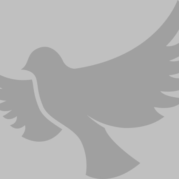 Dove Thumbnail