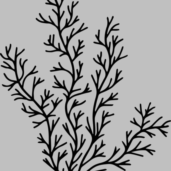 Herb Sprig Thumbnail