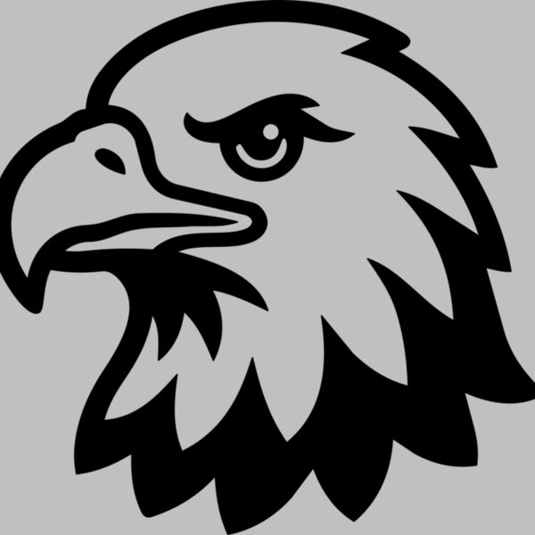 Bald Eagle Head Thumbnail