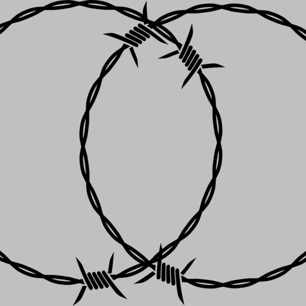 Double Barbed Wire Ring Thumbnail