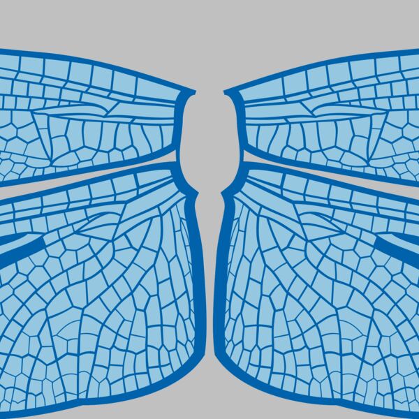 ES3wing14clr Thumbnail