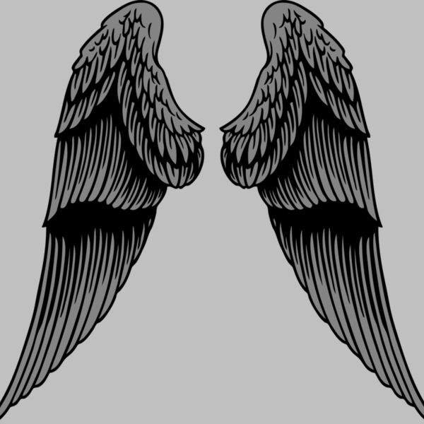 ES2wings031CLR Thumbnail