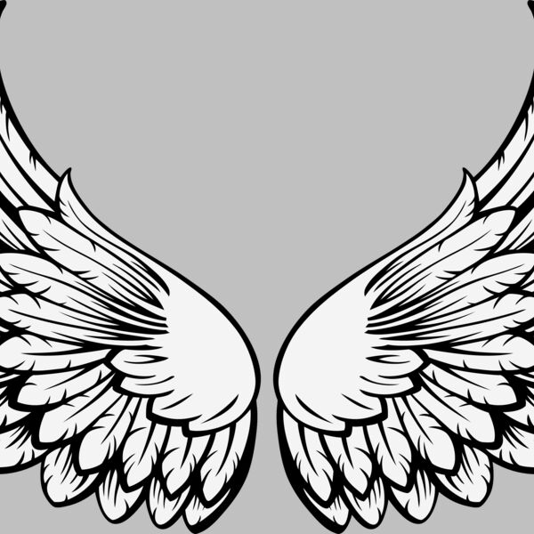 ES3wing15clr Thumbnail