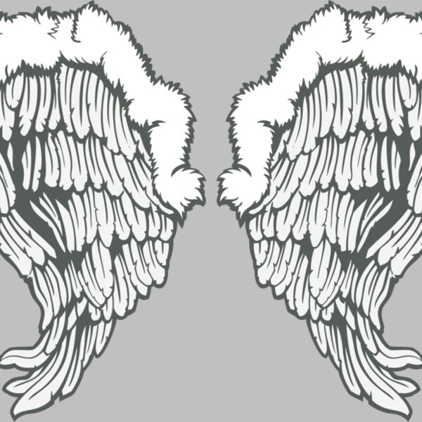 ES3wing26clr Thumbnail