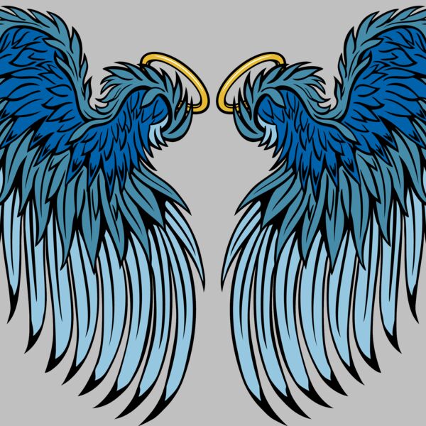 ES3wing25clr Thumbnail