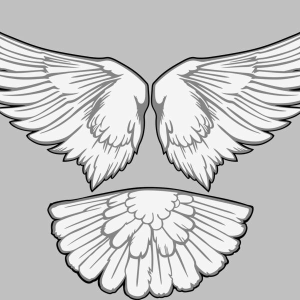 ESwings015clr Thumbnail