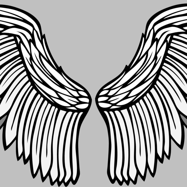 ES2wings028clr Thumbnail