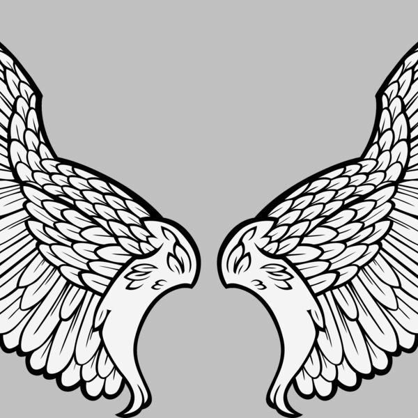 ES3wing11clr Thumbnail