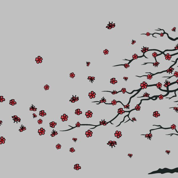 cherrytree01clr Thumbnail