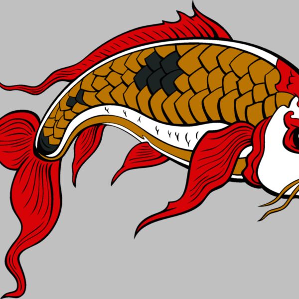 es2asiankoi008clr Thumbnail