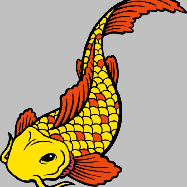 es2asiankoi001clr Thumbnail