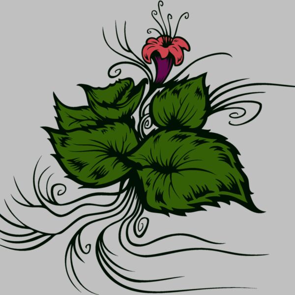 flower and leaves Thumbnail