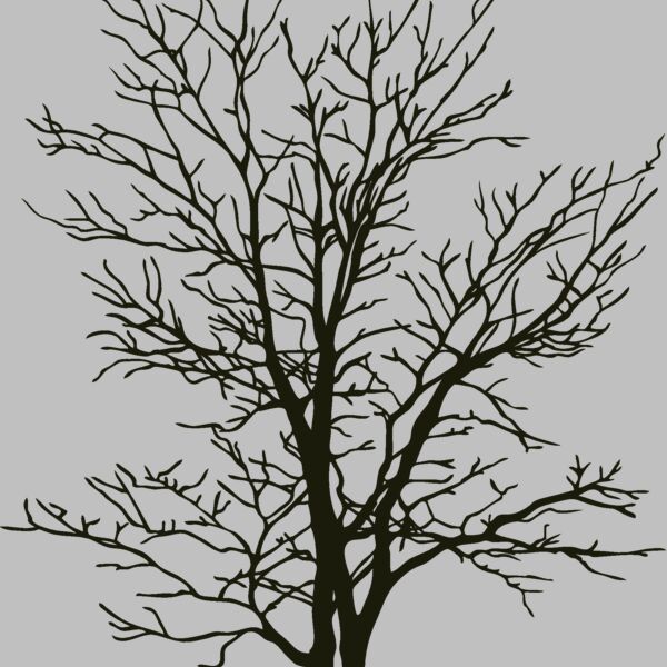 es2tree007clr Thumbnail