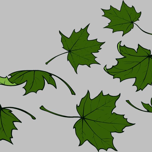 es2leaves001clr Thumbnail