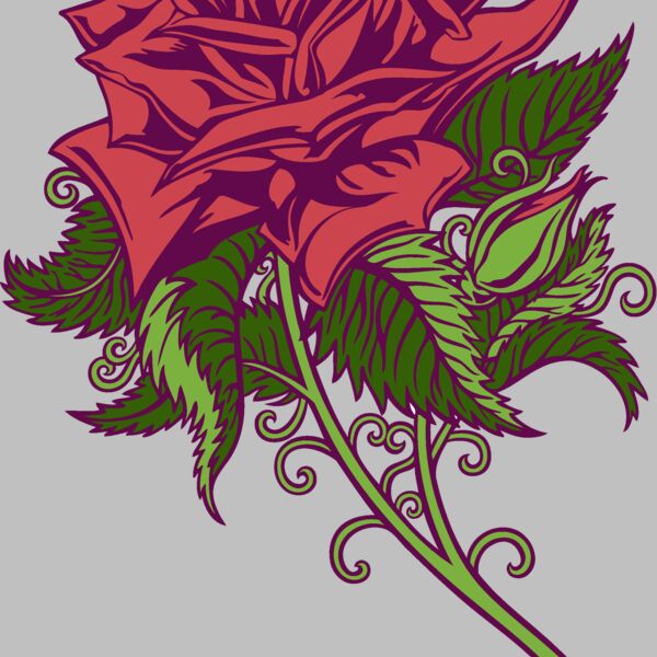 es2rose008clr Thumbnail