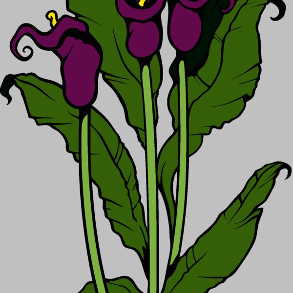 es3flower07clr Thumbnail