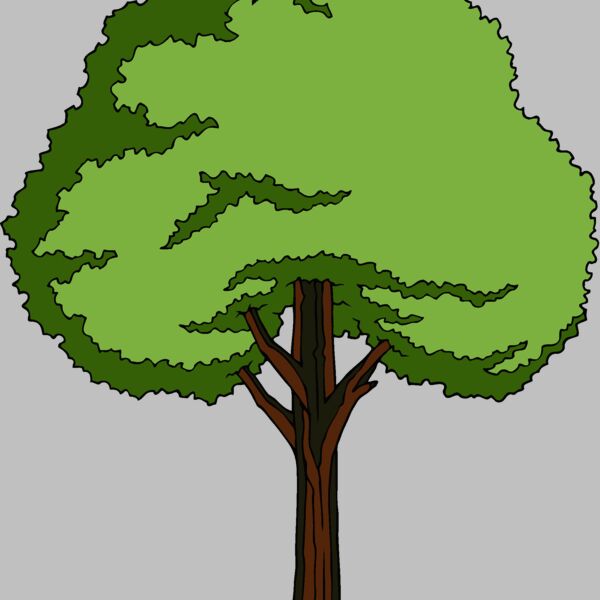 es3tree11clr Thumbnail