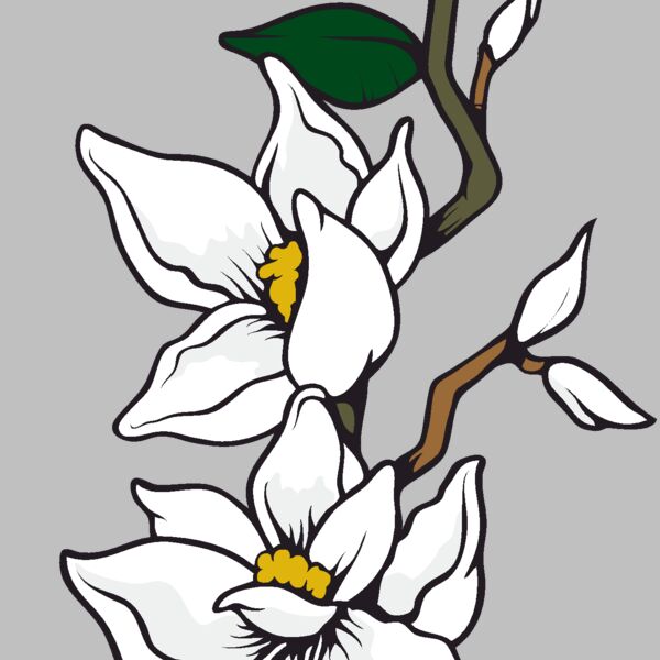 es3flower05clr Thumbnail