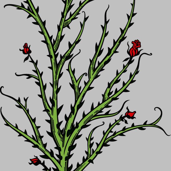 es2thorns004clr Thumbnail