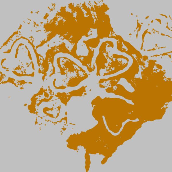 es2splat001clr Thumbnail