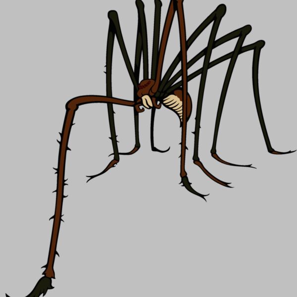 es3spider02clr Thumbnail