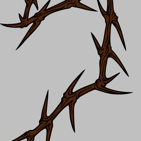 es2thorns006clr Thumbnail