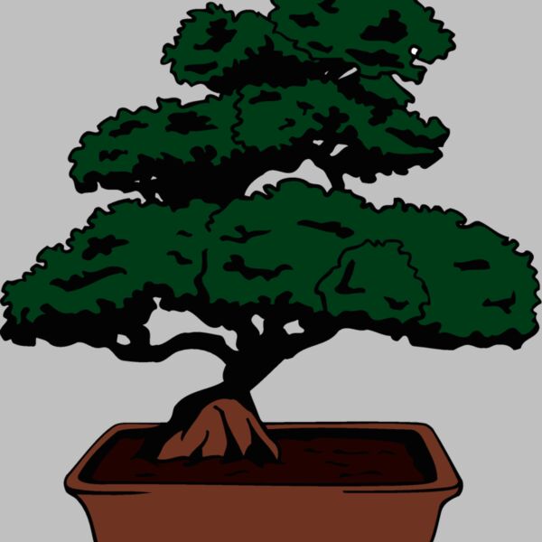 bonsai1 Thumbnail